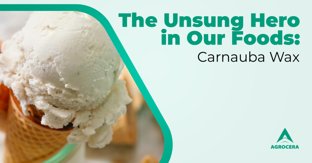 carnauba in food