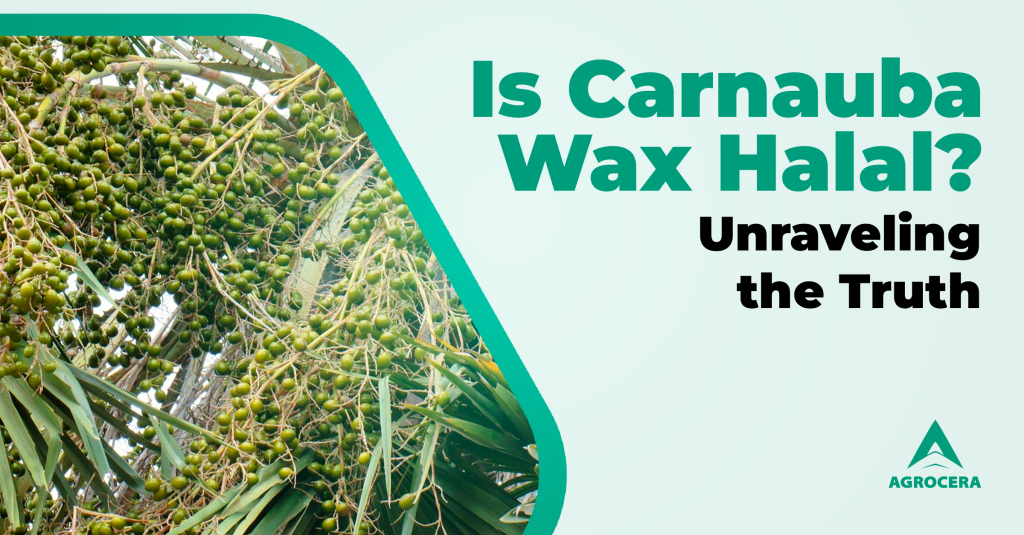 Is Carnauba Wax Halal?