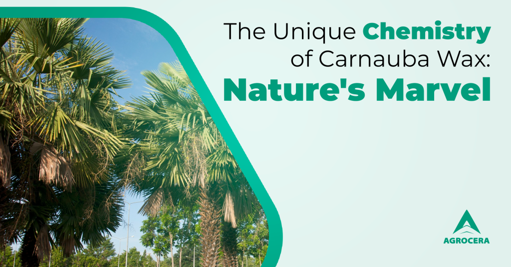 Carnauba wax properties