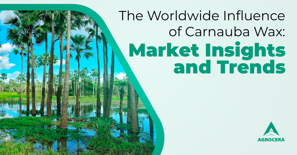 Carnauba global market
