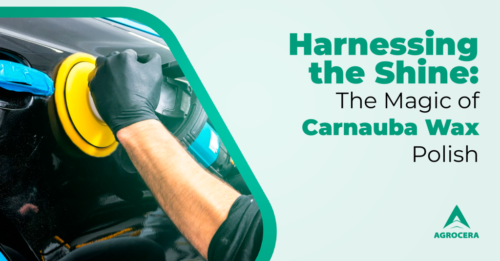 Carnauba Wax Polish