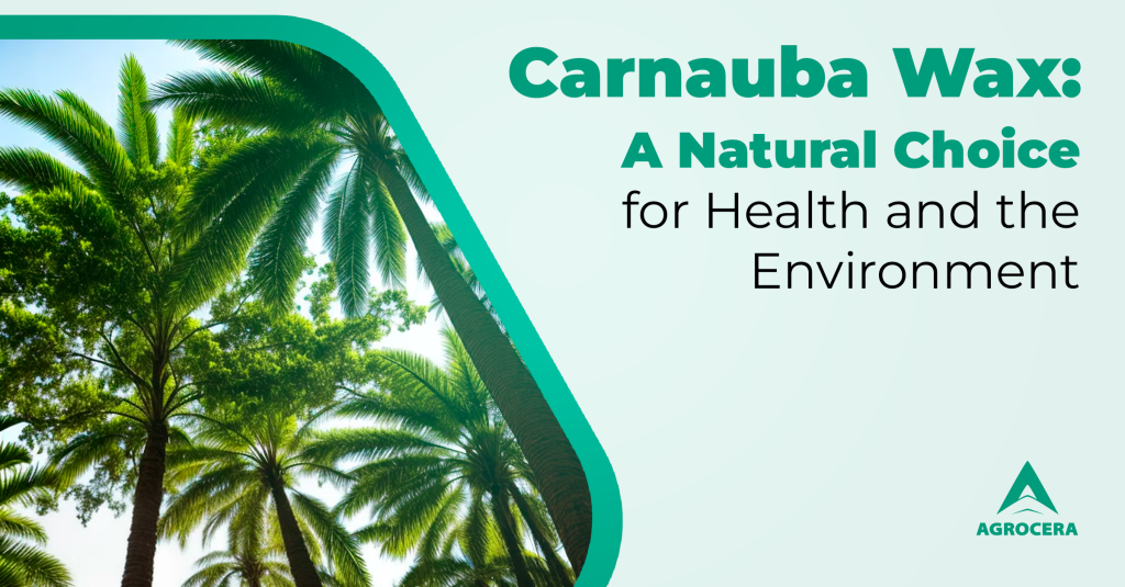 carnauba wax benefits: natural choice