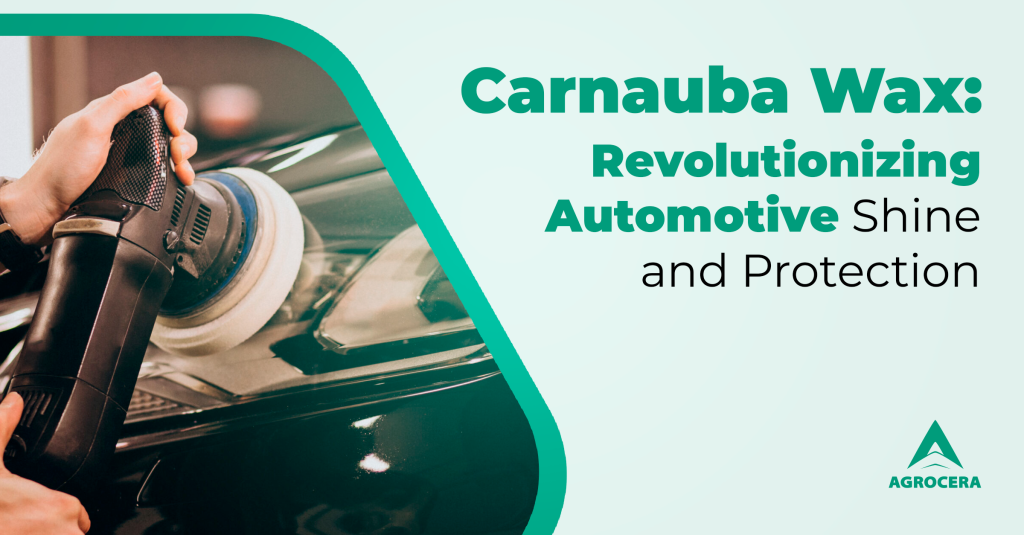 Carnauba wax in Automotive