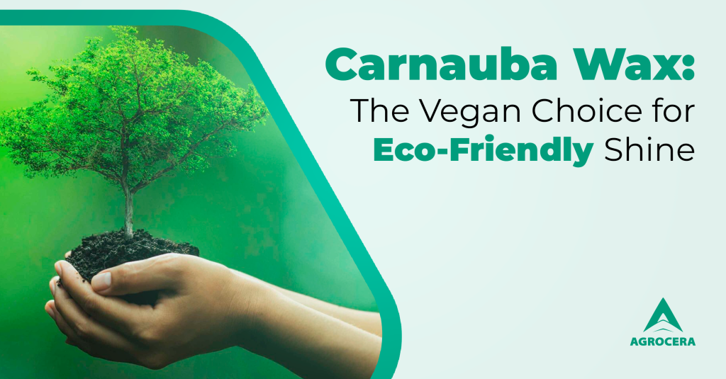 Carnauba Wax Vegan