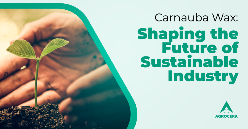 future of carnauba