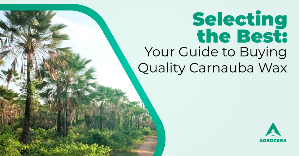 Quality Carnauba Wax