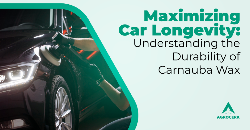 carnauba wax durability