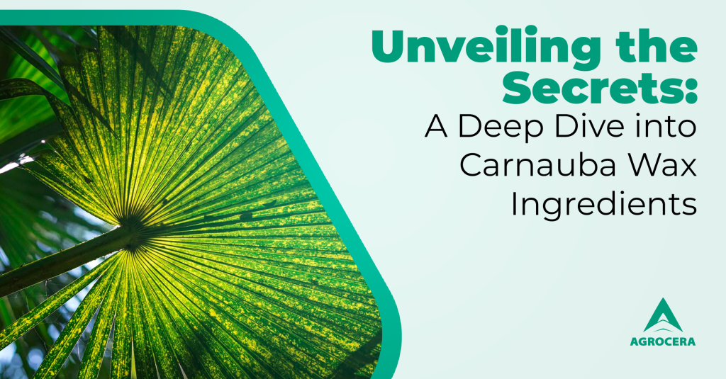 carnauba wax ingredients