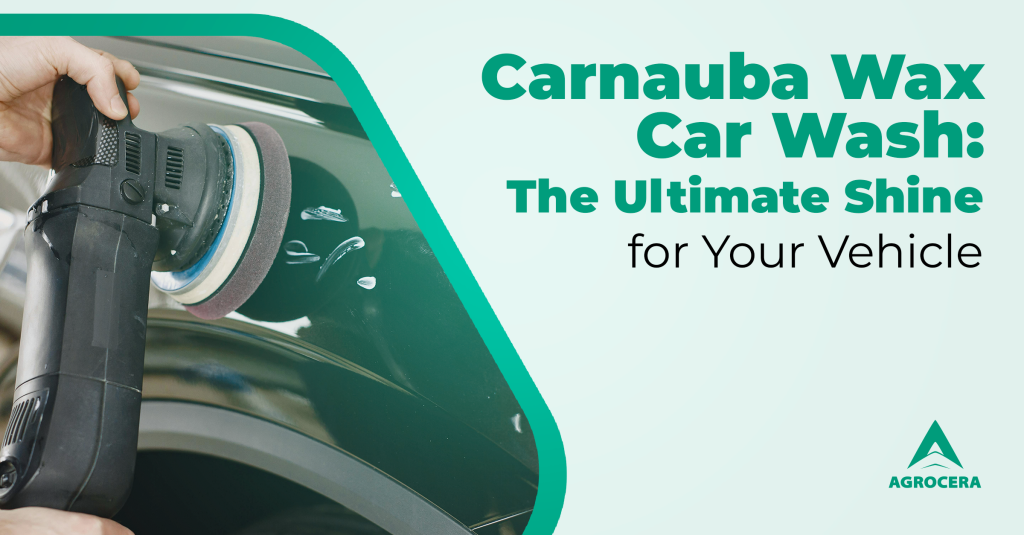 Carnauba Wax Car Wash The Ultimate Shine for Your Vehicle AGROCERA