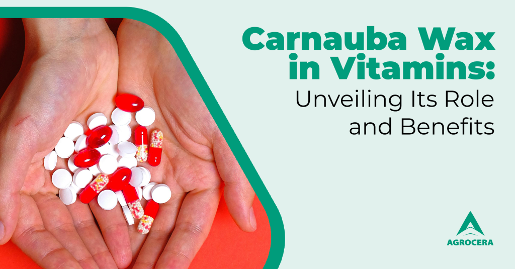 carnauba wax in vitamins
