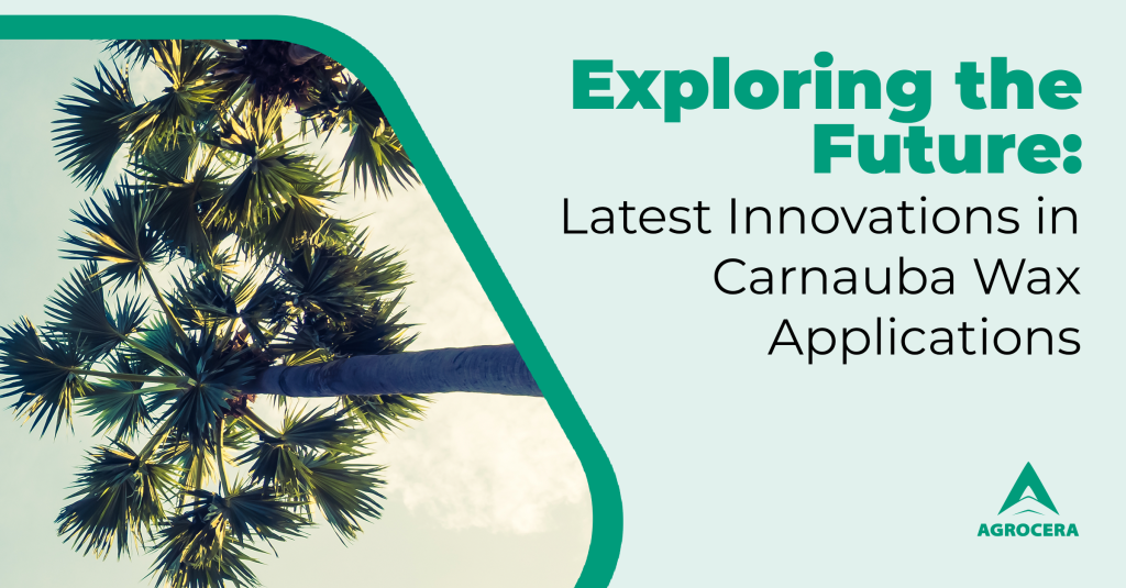 carnauba wax innovations