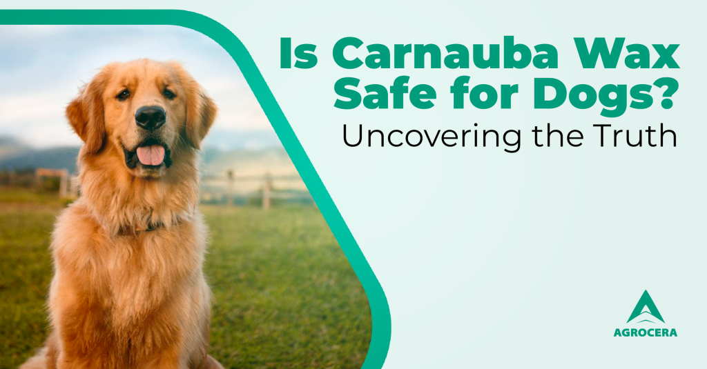 carnauba wax safe for dogs