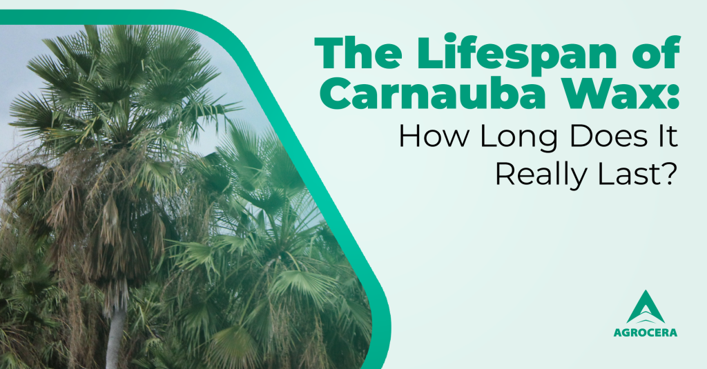 how long does carnauba wax last