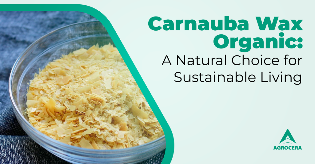 carnauba wax organic