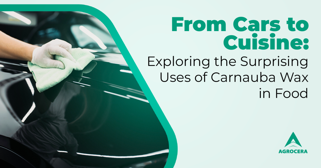 what is carnauba wax in food